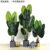 uploads/erp/collection/images/Home Garden/dgjiawang/XU0612558/img_b/XU0612558_img_b_2